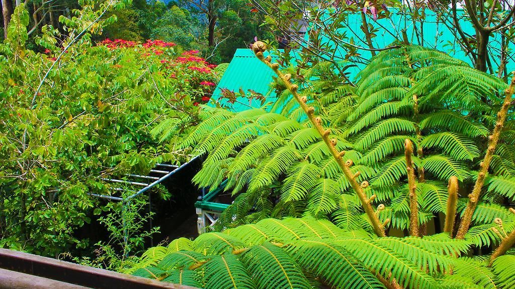 Haven & Nuwara Eliya