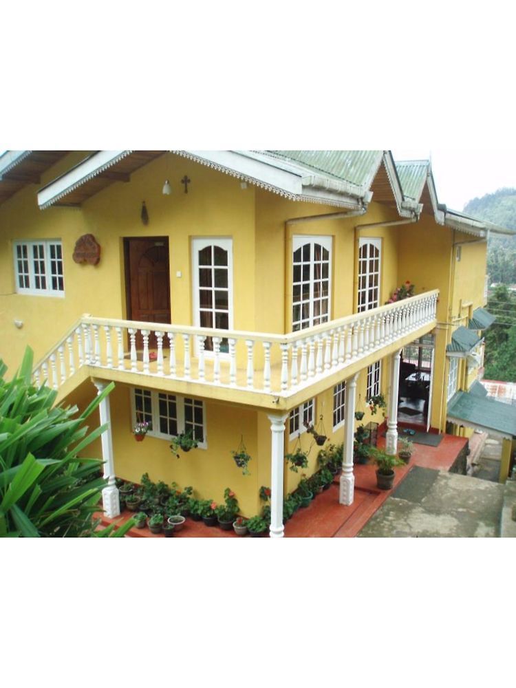 Guest house Vista Royal Guest 3*