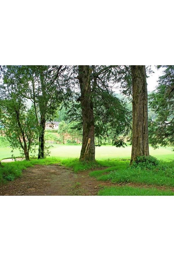Vista Royal Guest Guest house Nuwara Eliya
