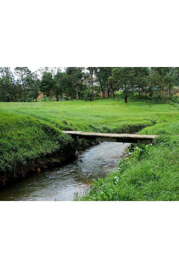 Vista Royal Guest Guest house Nuwara Eliya