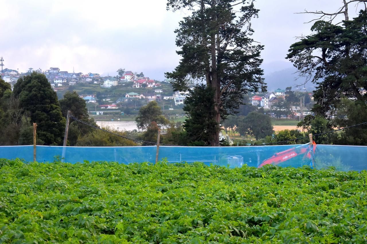 Bloomfield Nuwara Eliya