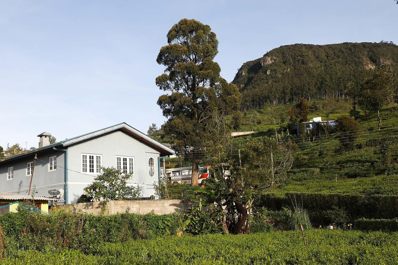 Pedro View Homestay Nuwara Eliya
