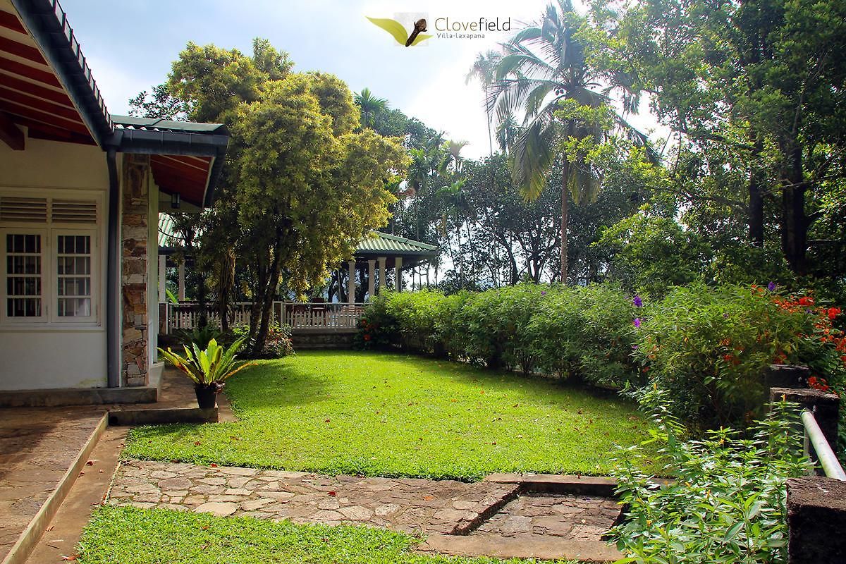 Guest house Clovefield