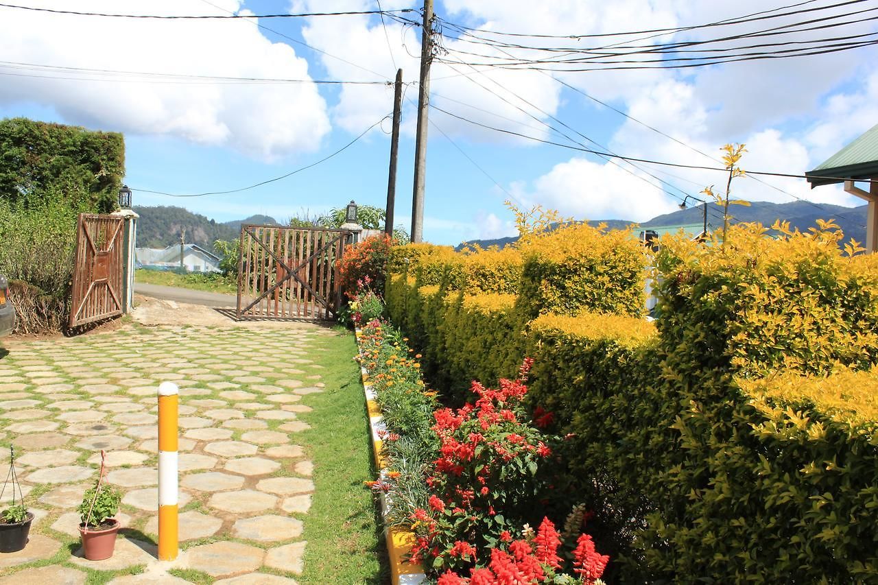 Lady Horton Guest house 2*