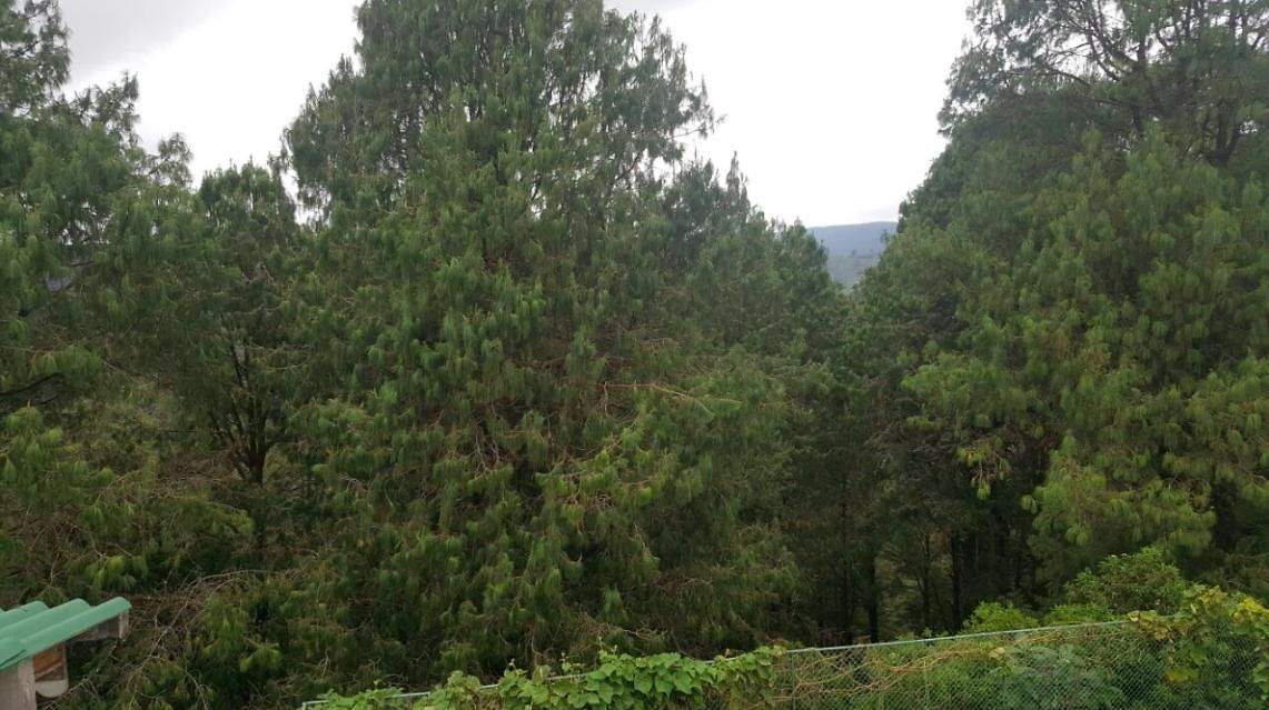 Lodge Jungle Front Bungalow Nuwaraeliya *