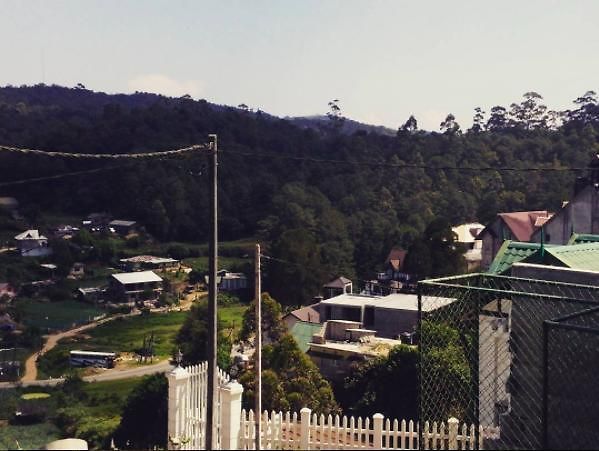 Jungle Front Bungalow Nuwaraeliya * Nuwara Eliya