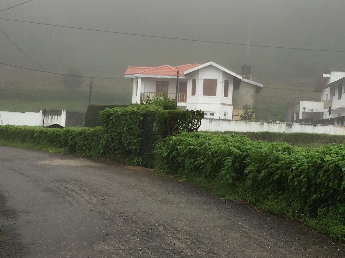 Fairlight Guest house