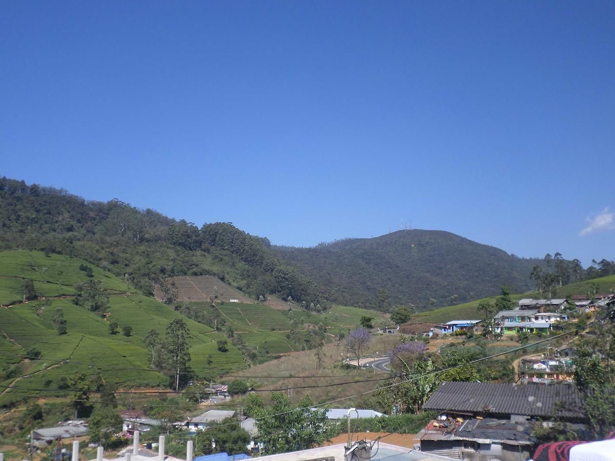 The Train View 3* Nuwara Eliya
