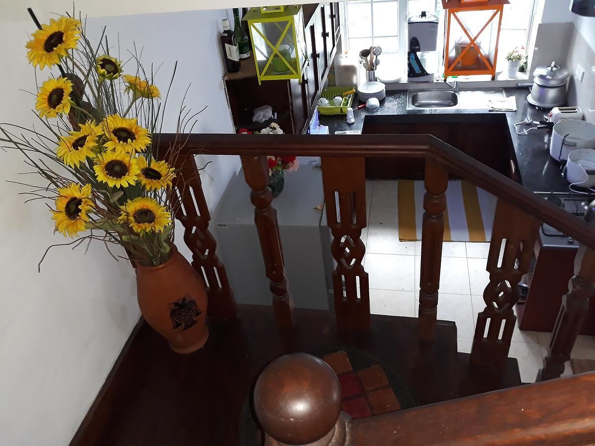 Guest house Tinithi