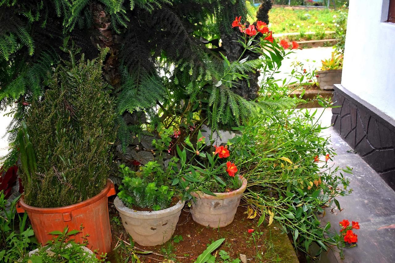 Guest house Bloomfield Nuwara Eliya