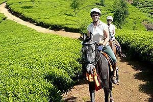 Hotel Haddon Hill Nuwara Eliya