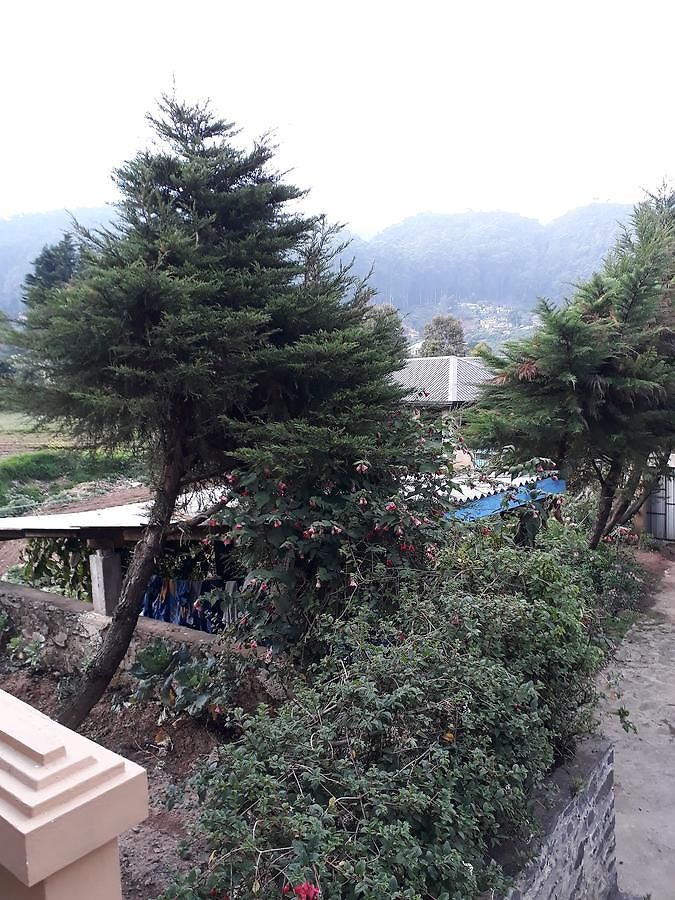 Rainyfreindz 3* Nuwara Eliya