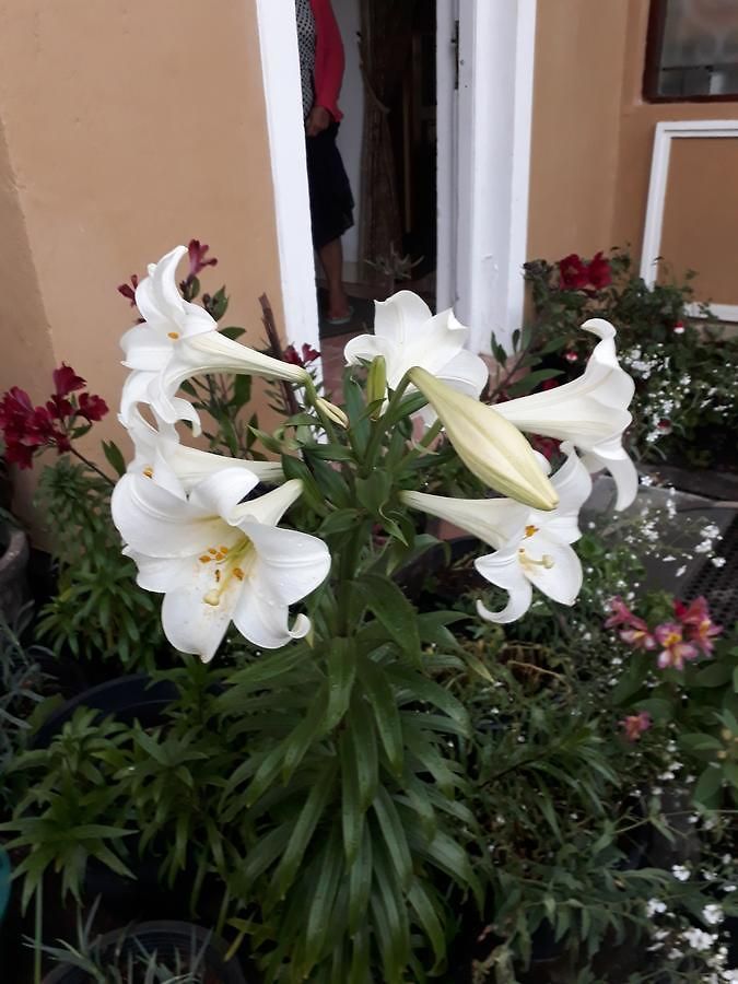 Rainyfreindz Guest house