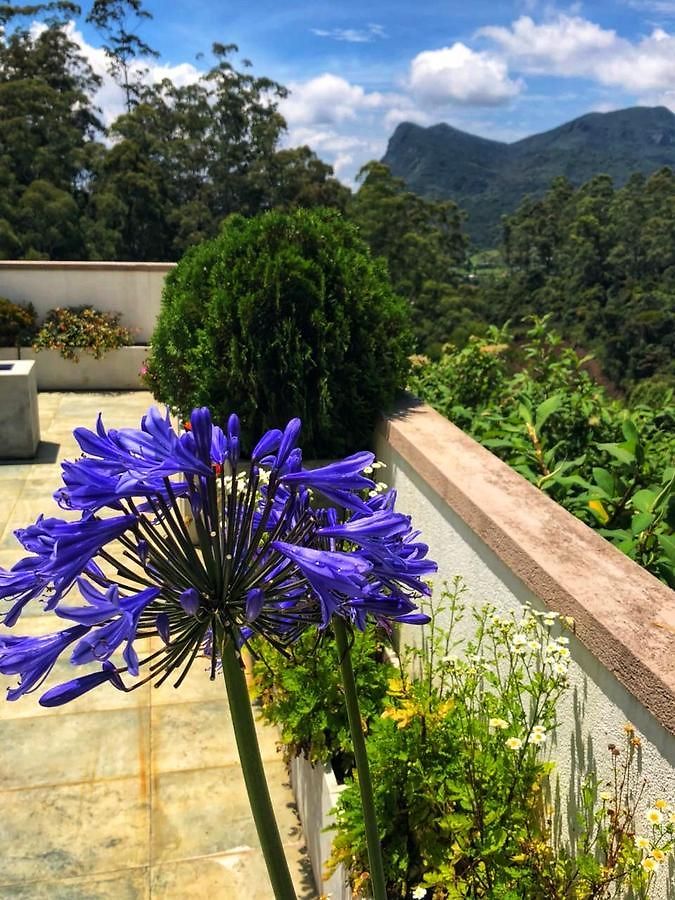 Misty Haven 3* Nuwara Eliya