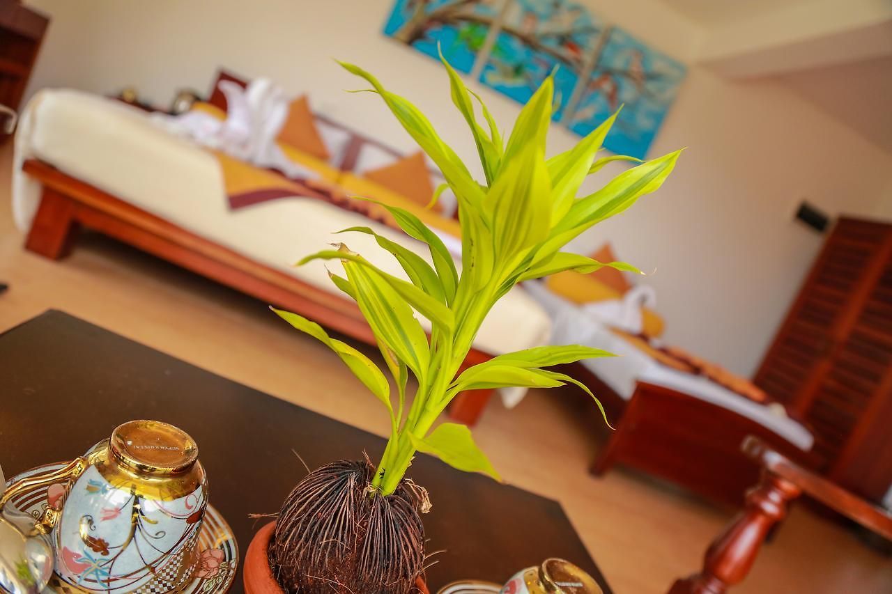Oak Ray Summer Hill Breeze Hotel 3*