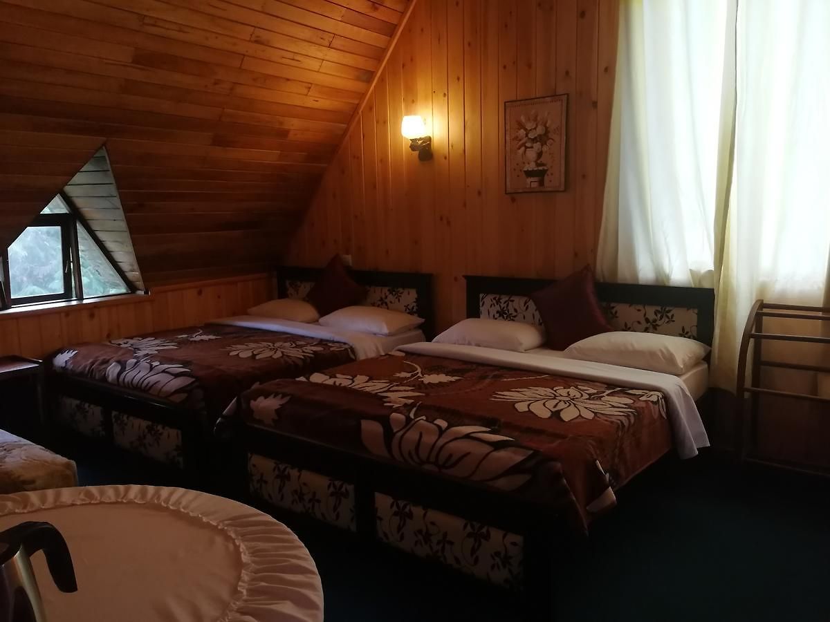 Guest house New Tour *