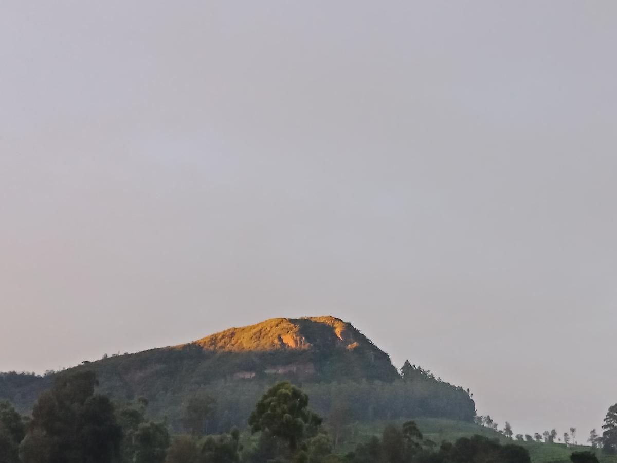 Bed & Breakfast Freedom Loge Nuwara Eliya