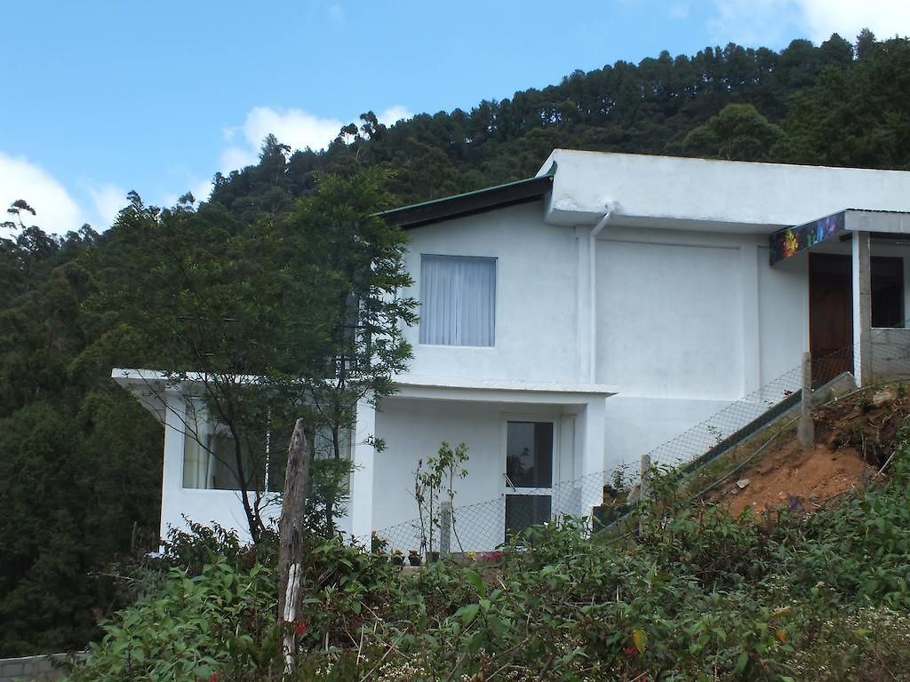 Hotel Mount View 2*