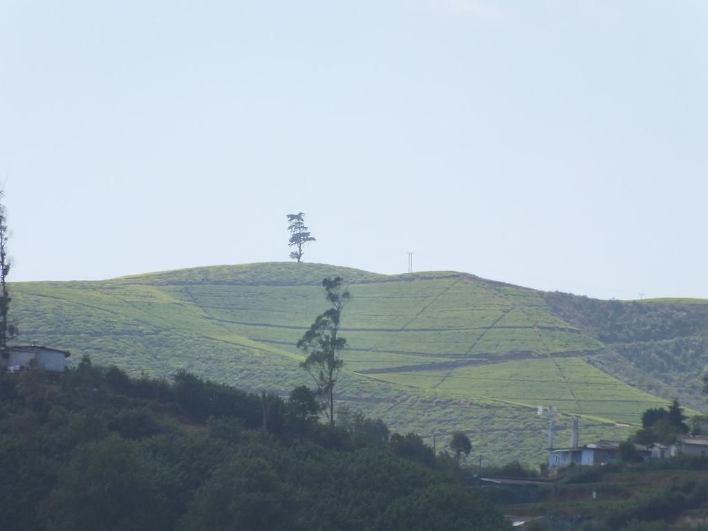 Mount View
