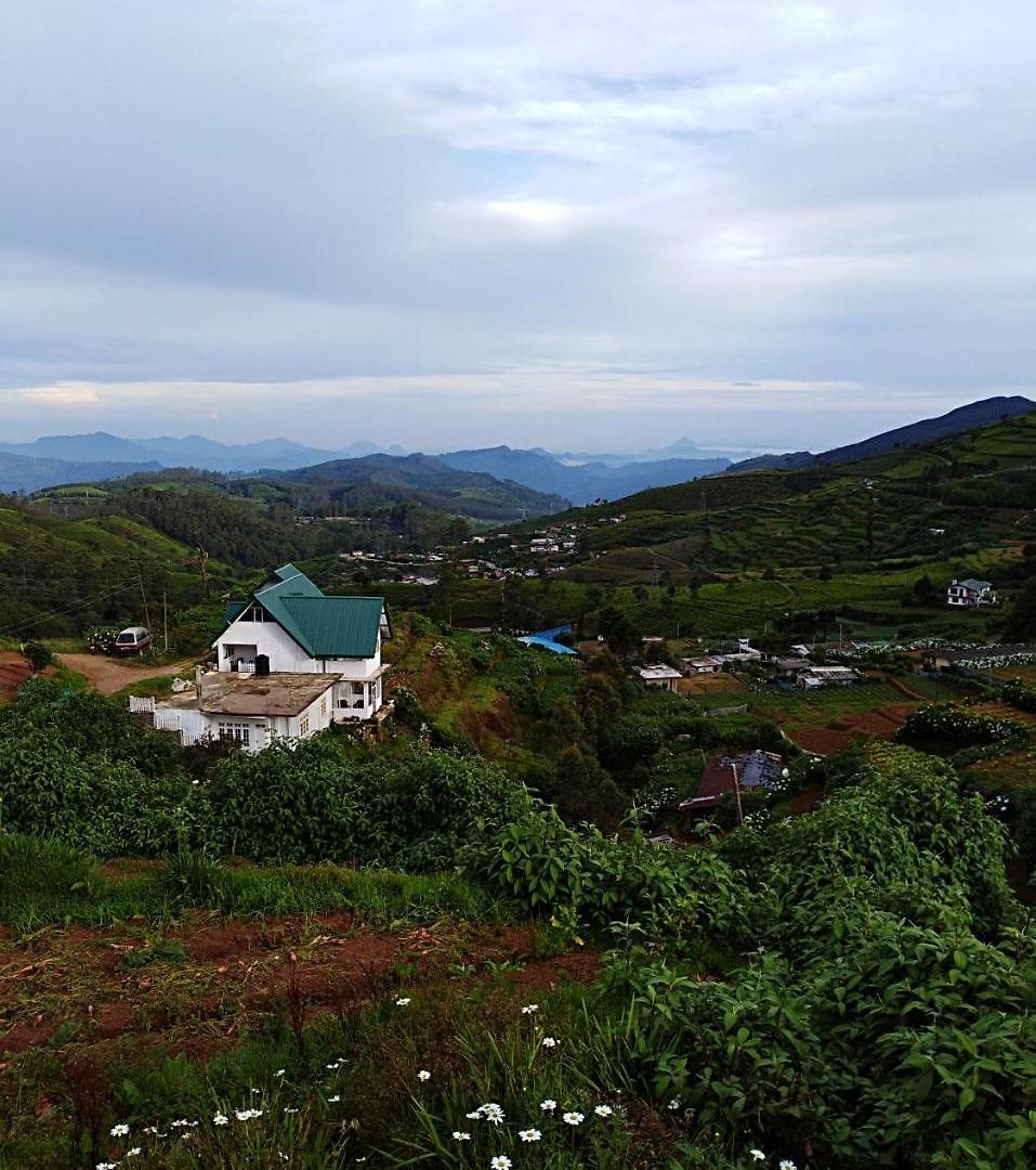 White House * Nuwara Eliya