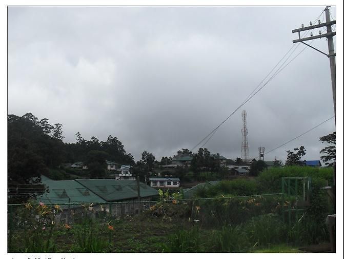 Canvil Holiday Bungalow Resort Nuwara Eliya