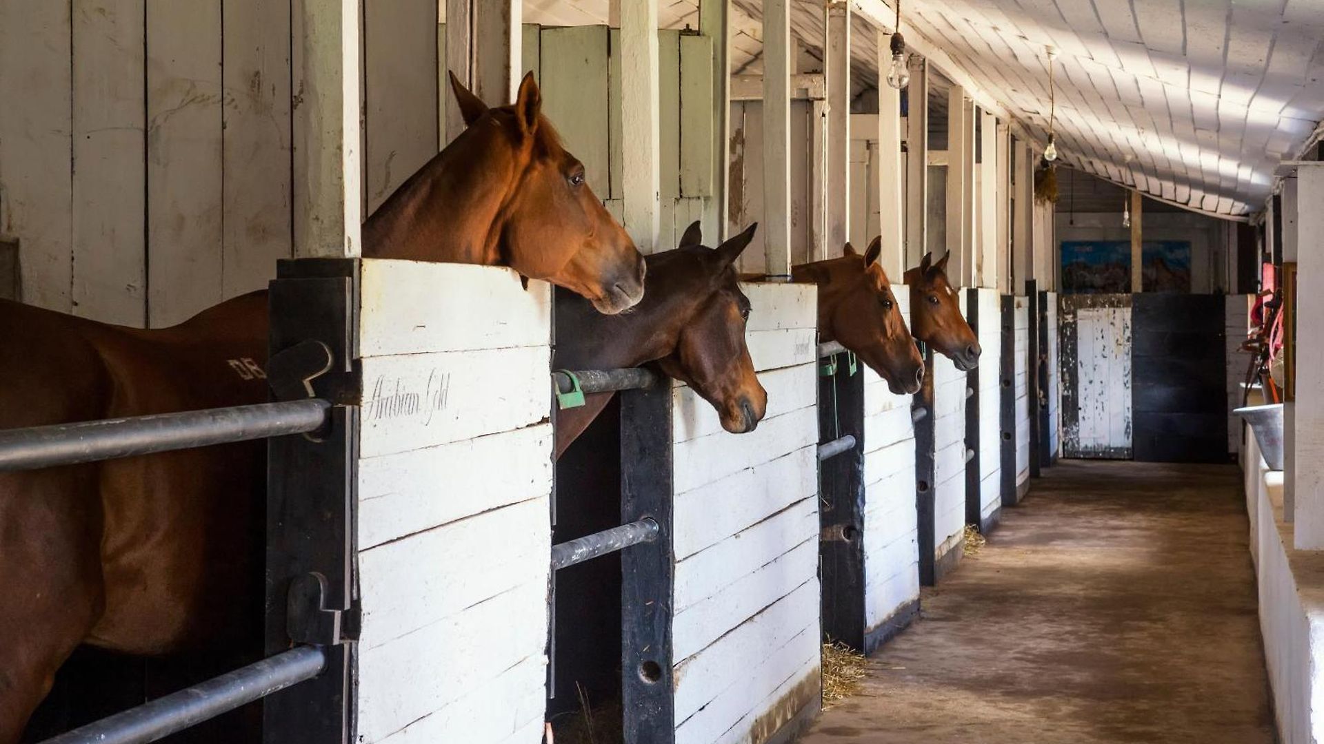 Villa Hill Rise Luxury & Stables By Edwards Collection - *