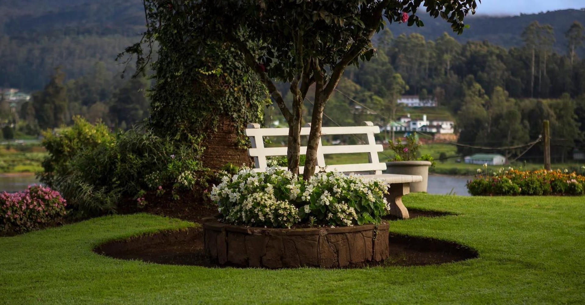 Hill Rise Luxury & Stables By Edwards Collection - *