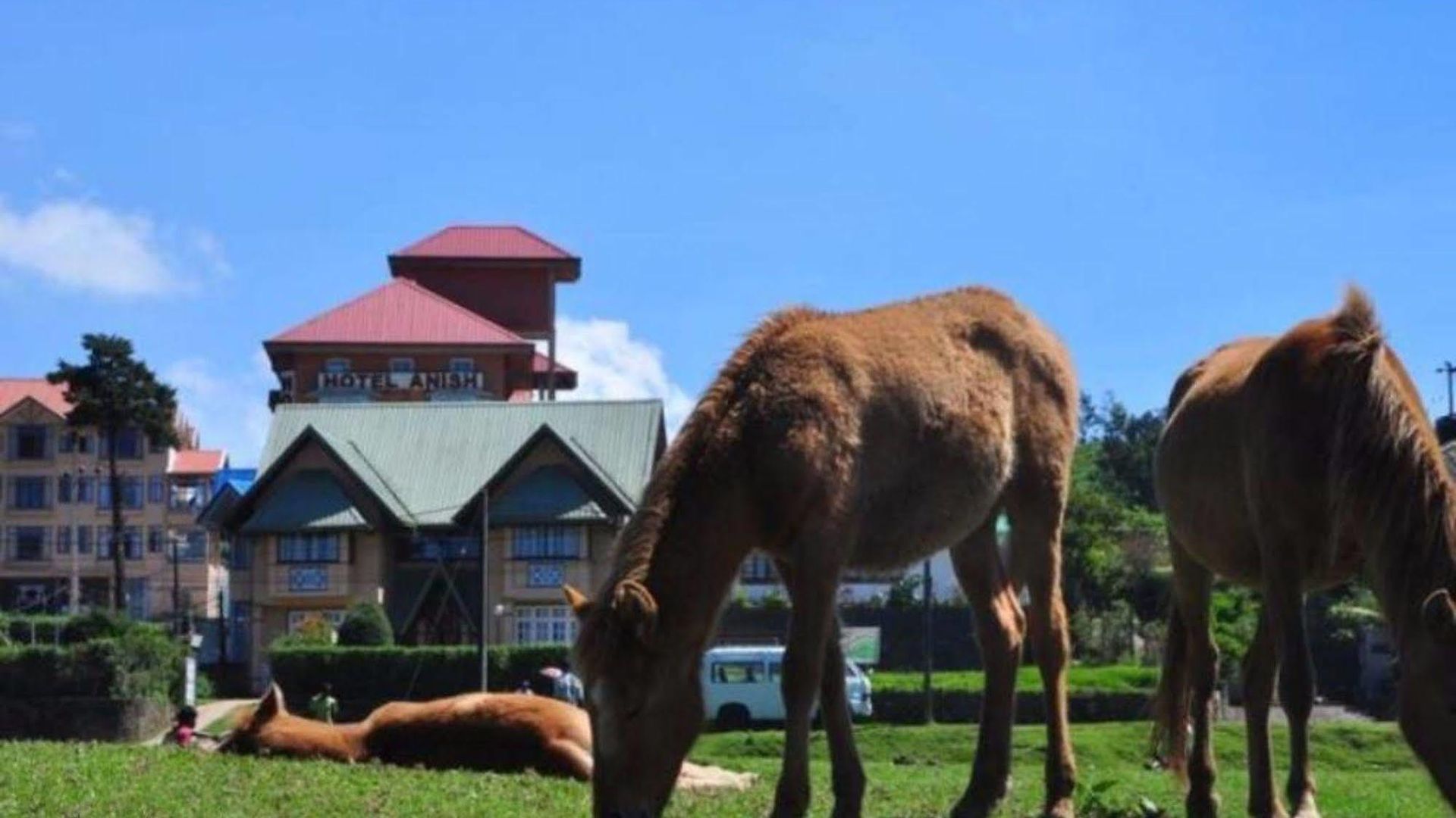 Gregory's Bed & Breakfast 3*