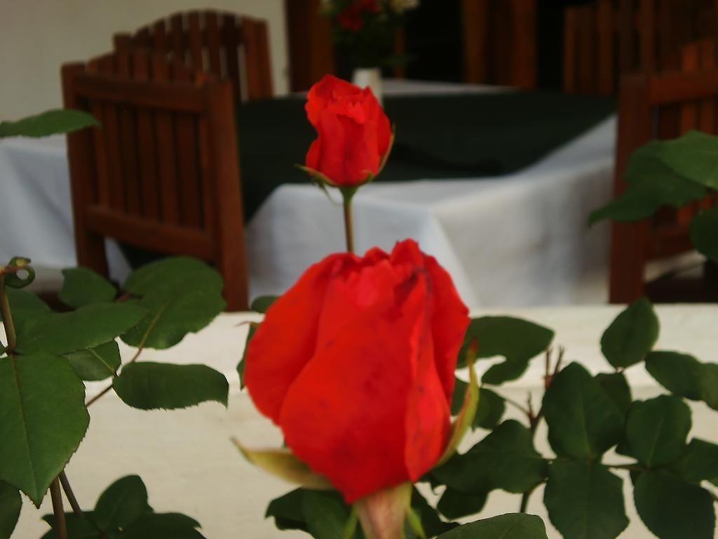 Standard Twin With Bath 3* Nuwara Eliya