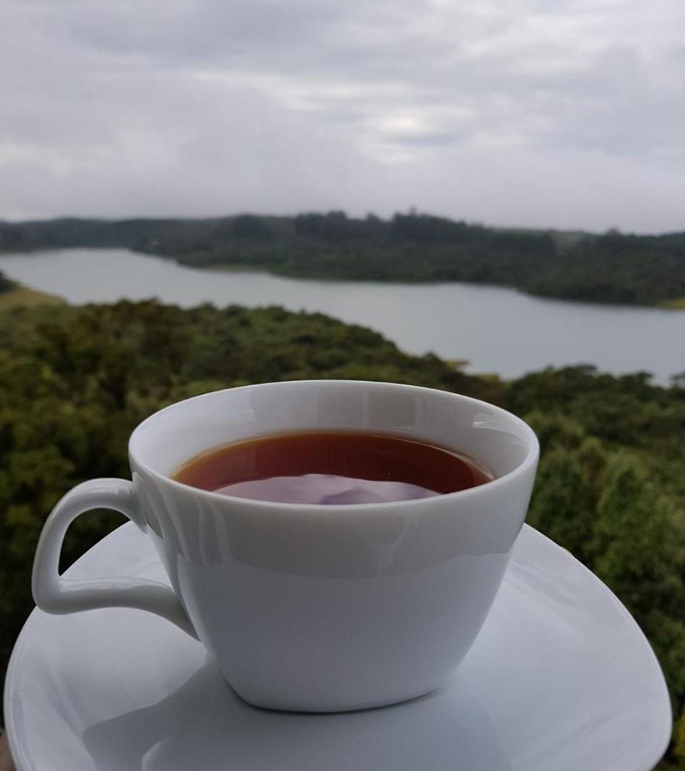 Tranquil - Stunning Views With Free Breakfast Villa *