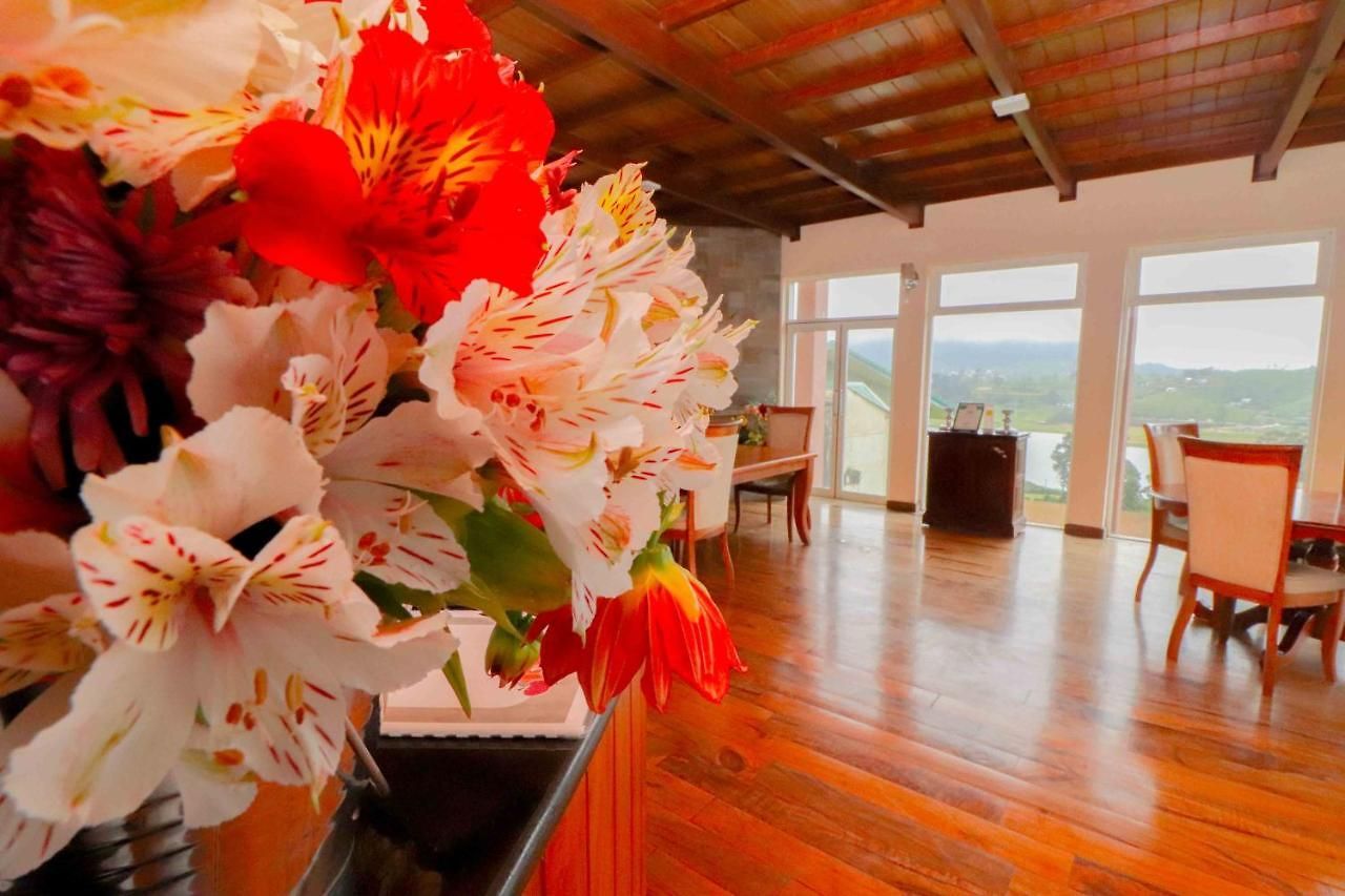 Acacia Guest house 3*