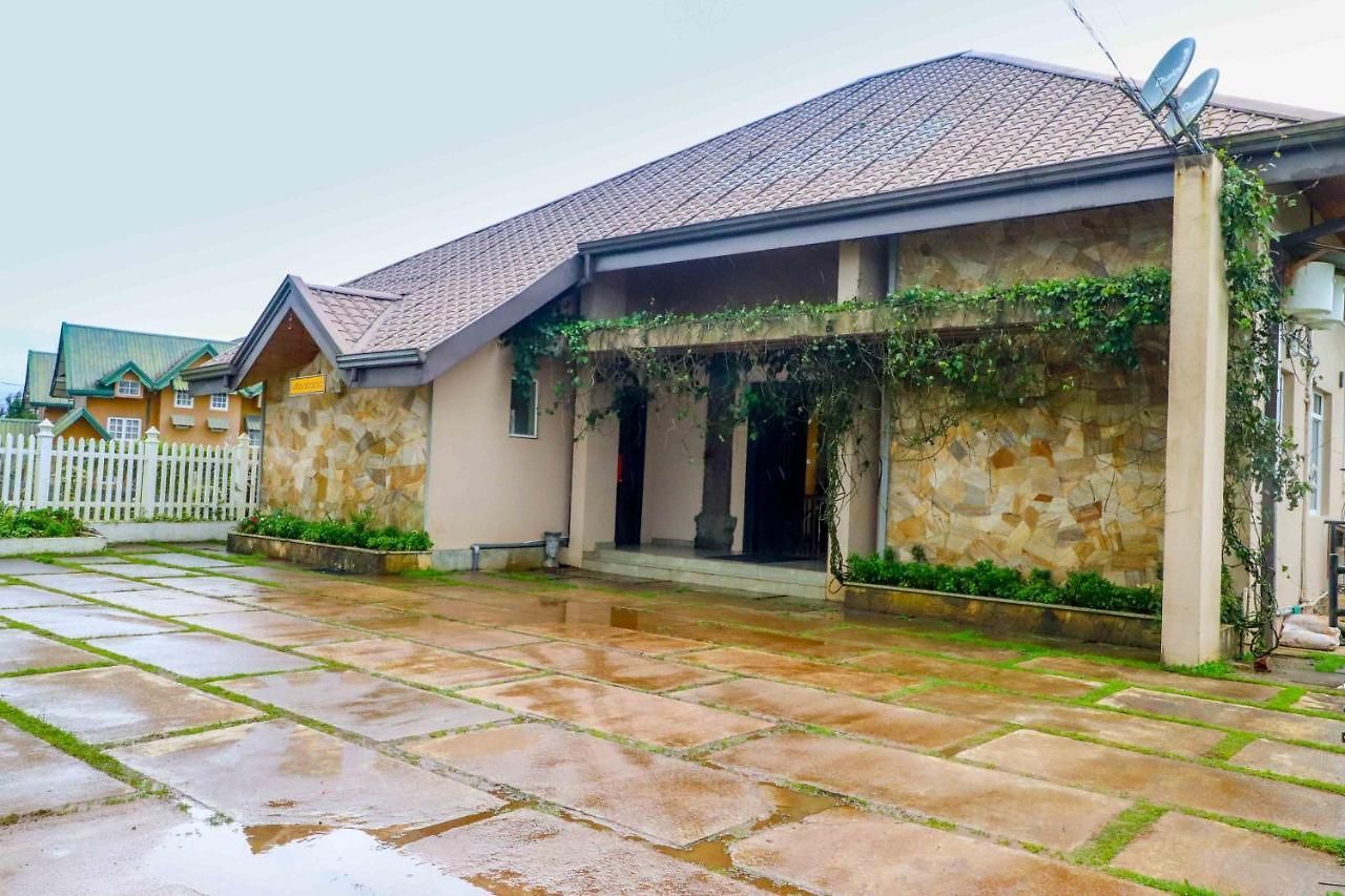 Acacia Nuwara Eliya