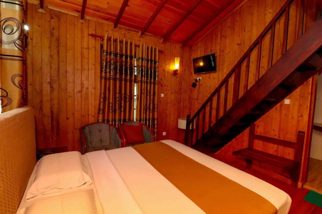 Hotel Alpine 3*