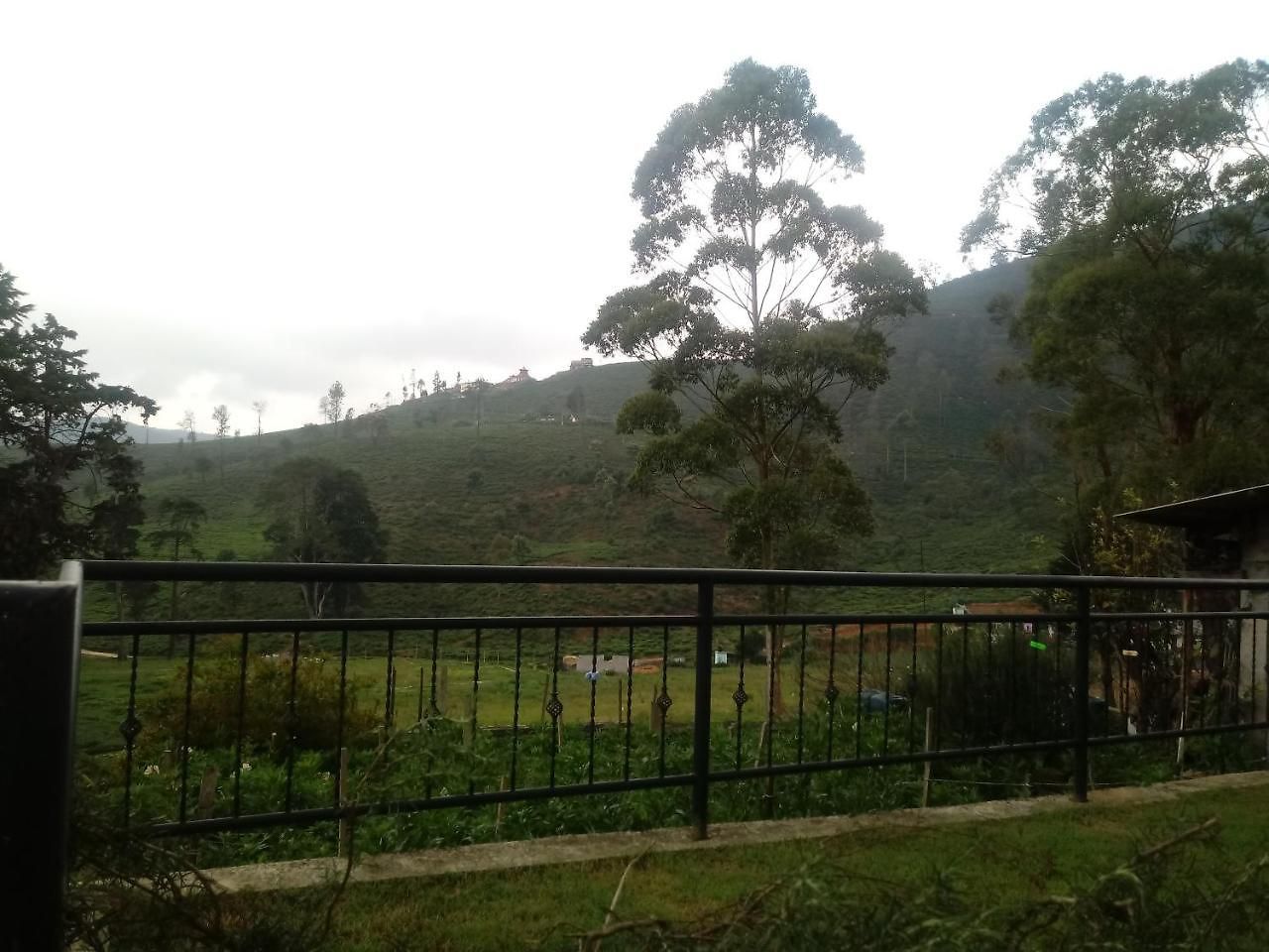 Salsburry Holiday *