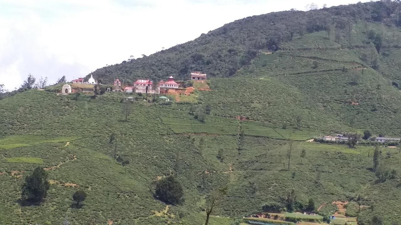 Guest house Royal Forest *