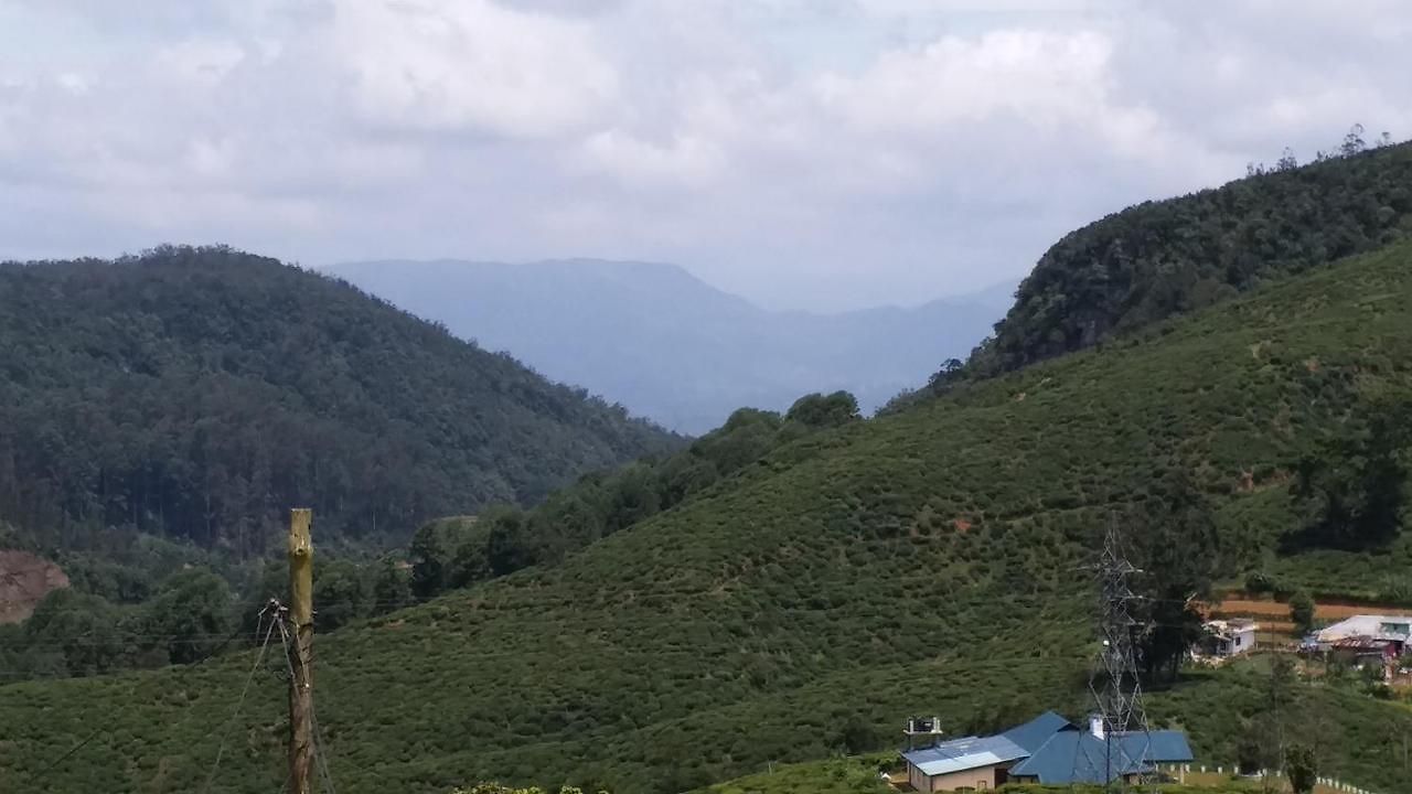 Royal Forest Guest house