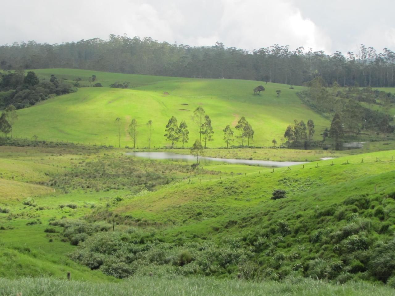 Shinic Nuwara Eliya