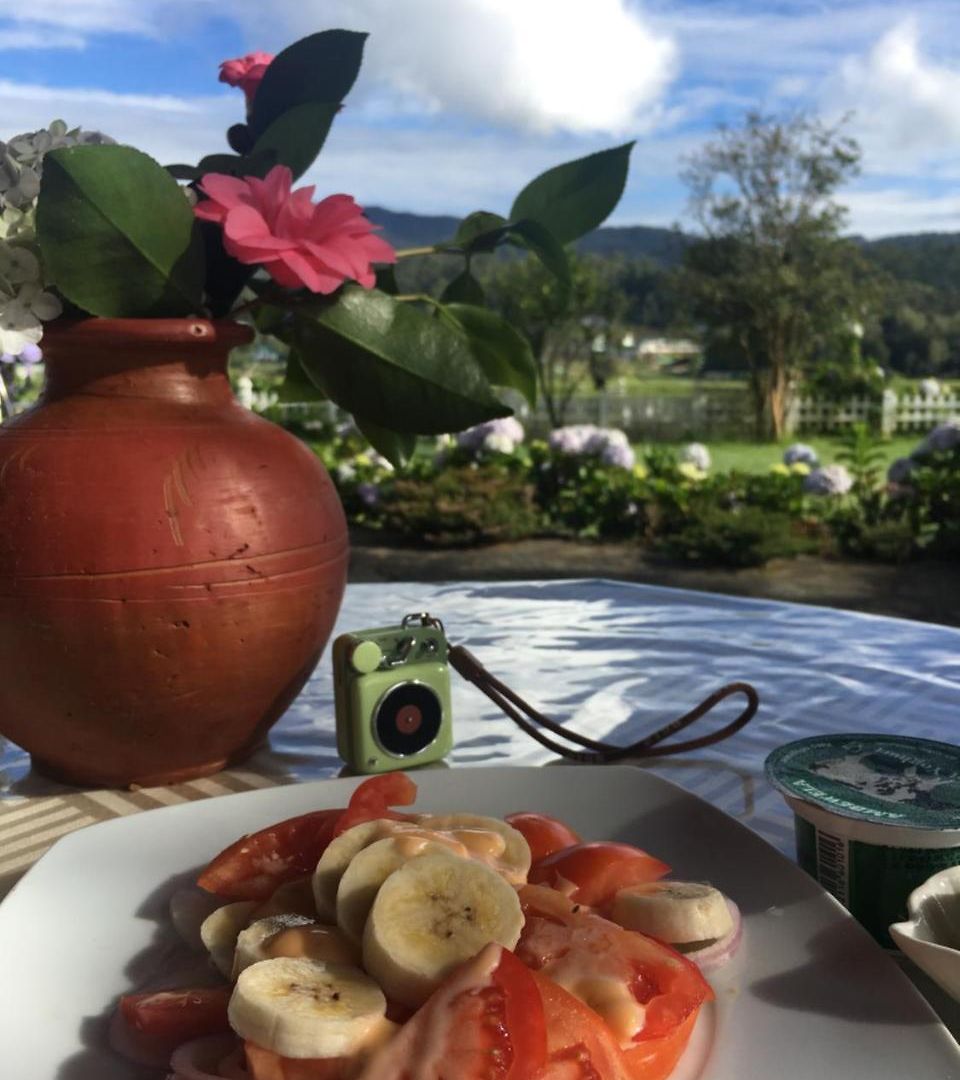 Peace Garden Bed & Breakfast