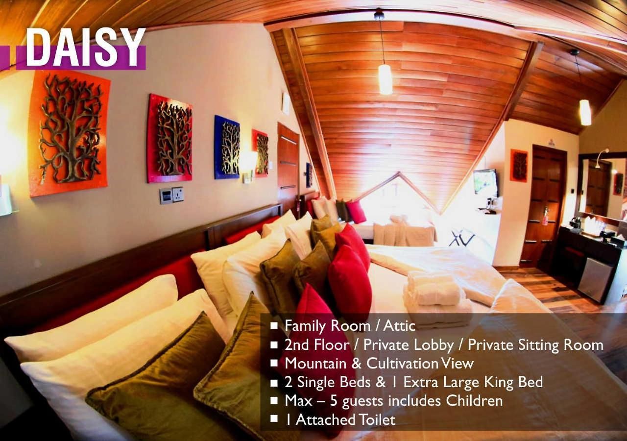 Villa Glory Bush Boutique