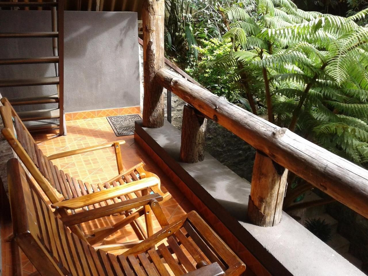 King Fern Guest house