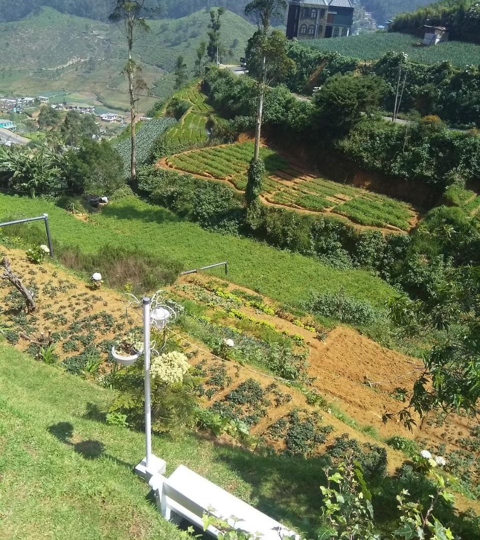 Lodge The Farmhouse Nuwaraeliya
