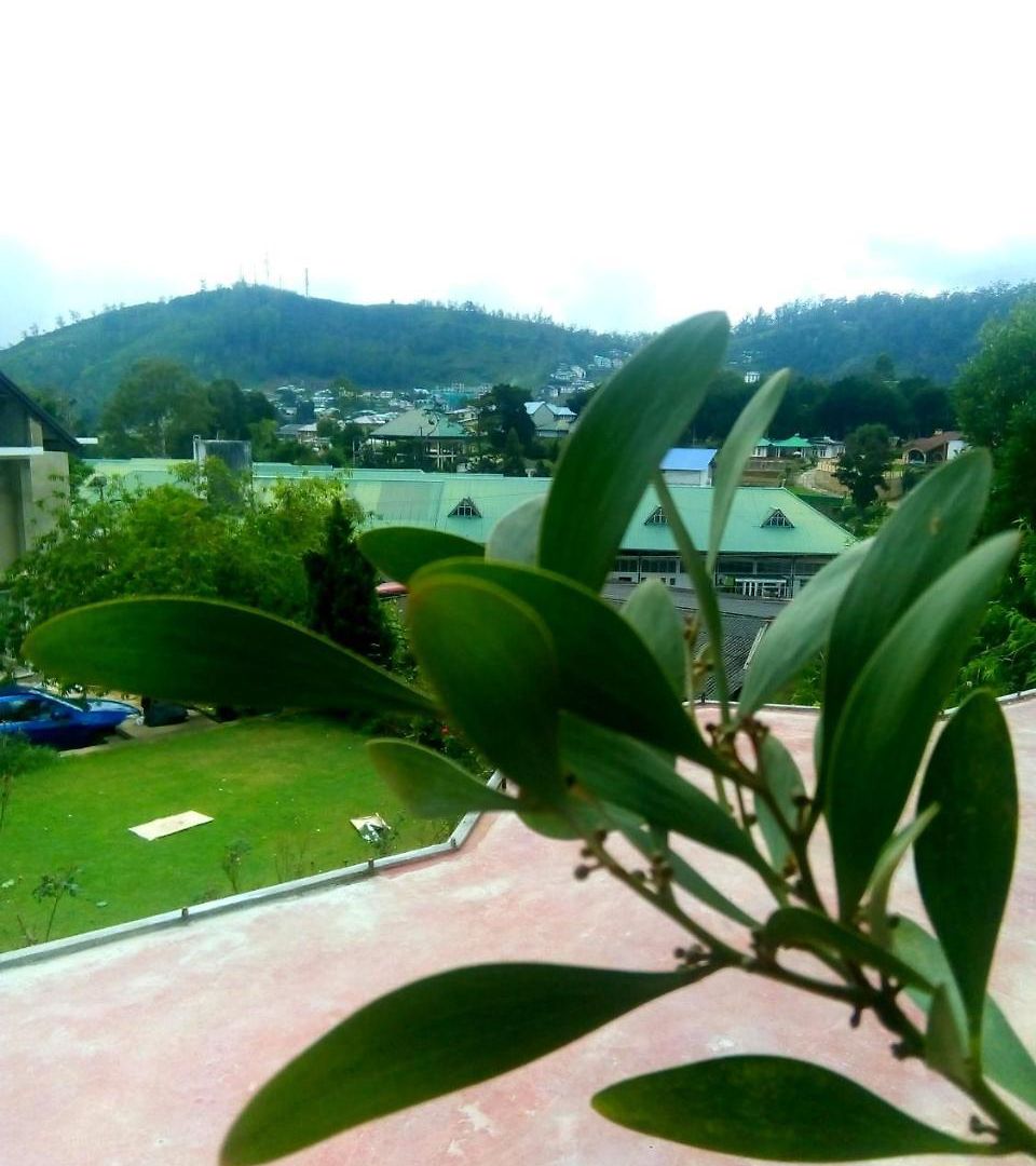 Mountain View Homestay