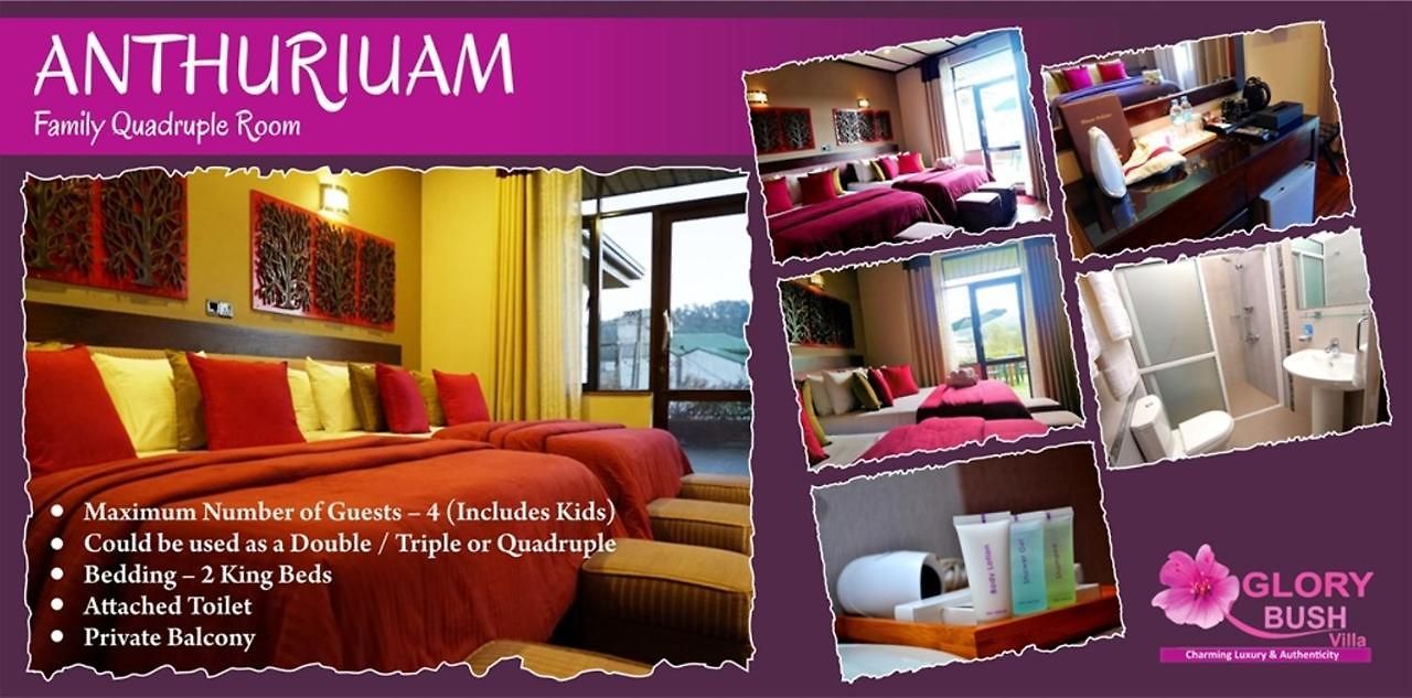 Glory Bush Boutique Villa *