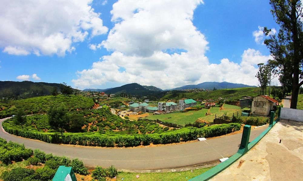 Mount View