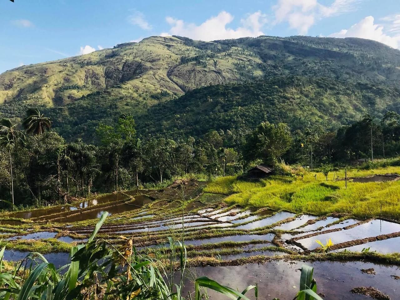 Hawagala Eco Nuwara Eliya