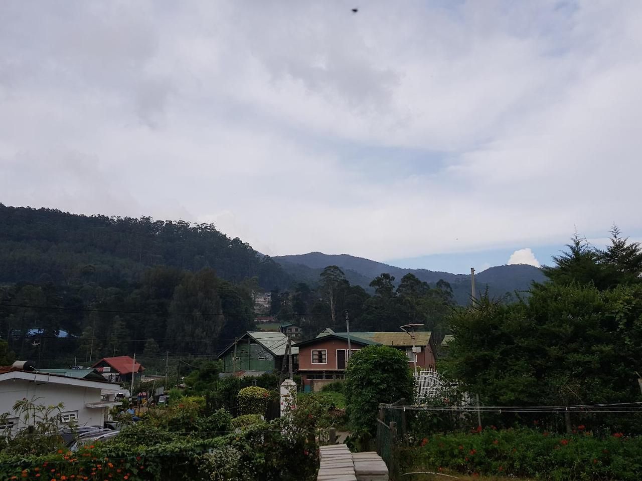 Mahoteak *