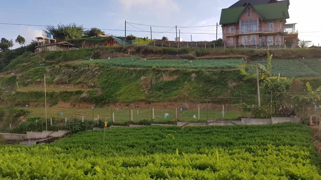 Chandrasobana Guest house