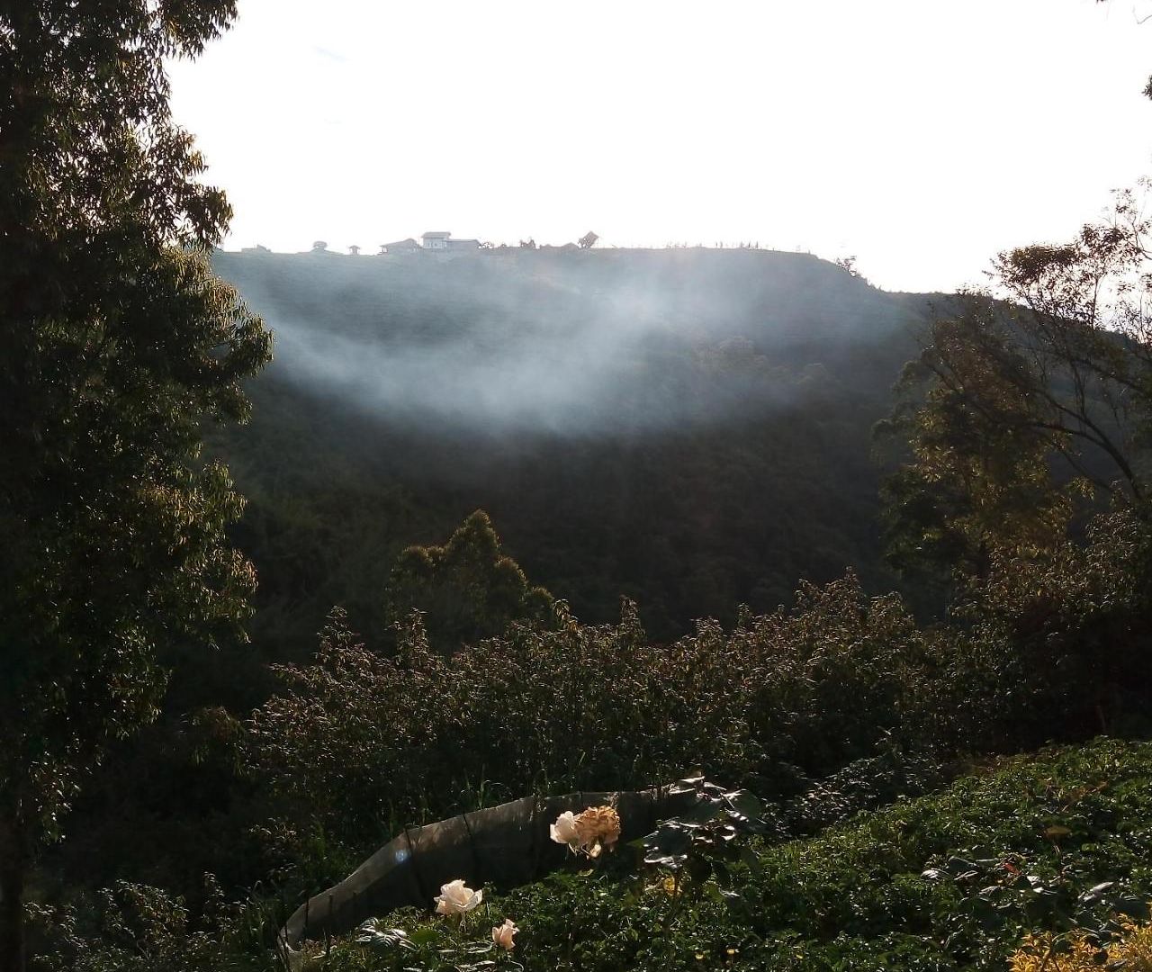 Guest house Gregory Nuwara Eliya