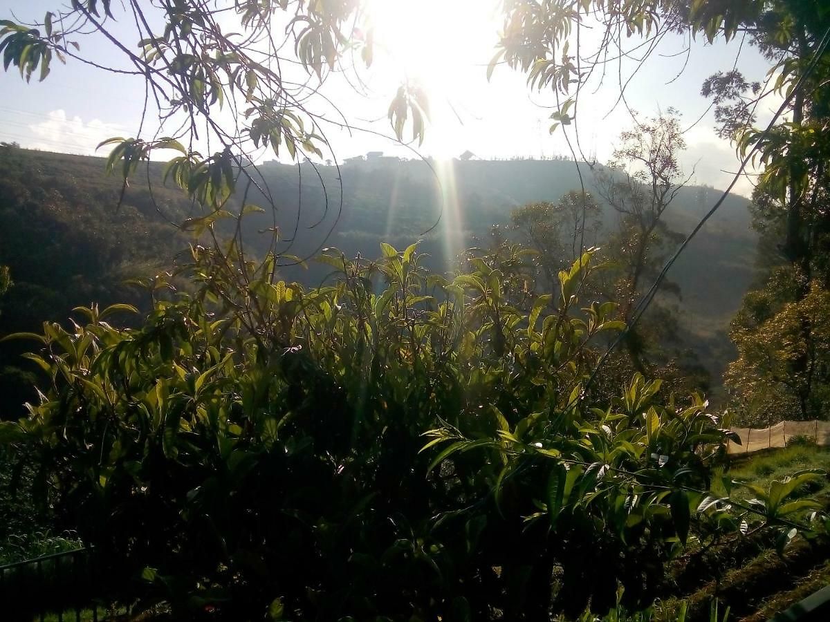 Guest house Gregory Nuwara Eliya