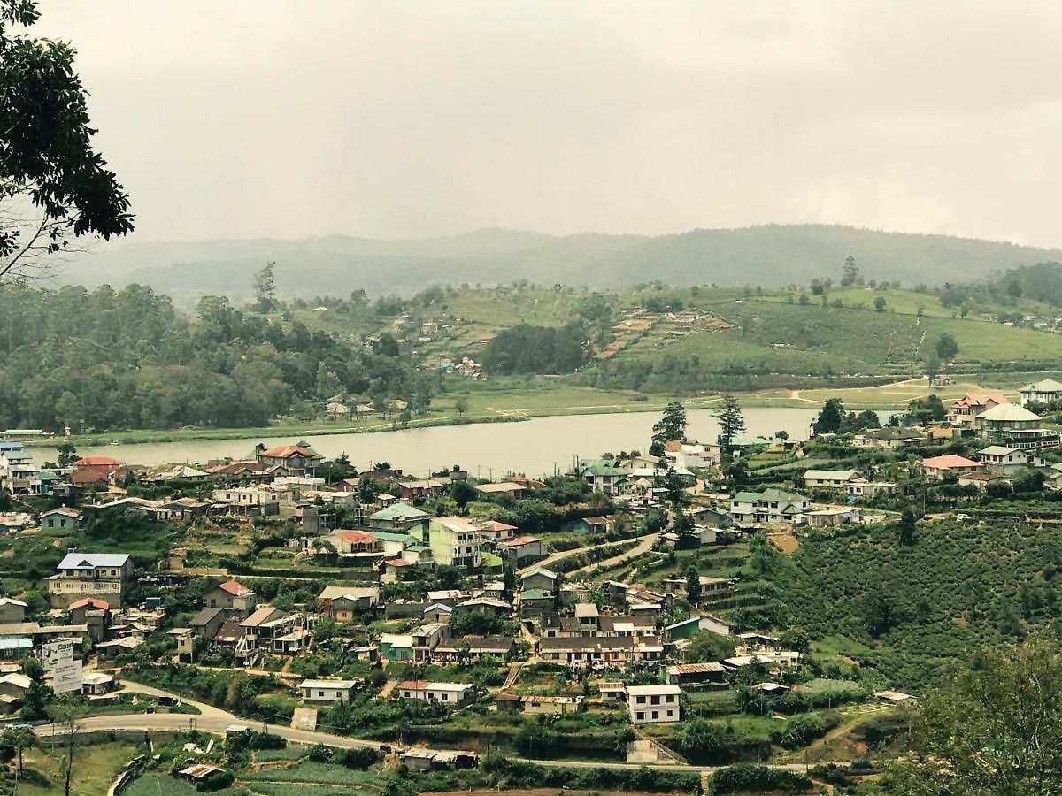 Single Tree Hotel Nuwara Eliya